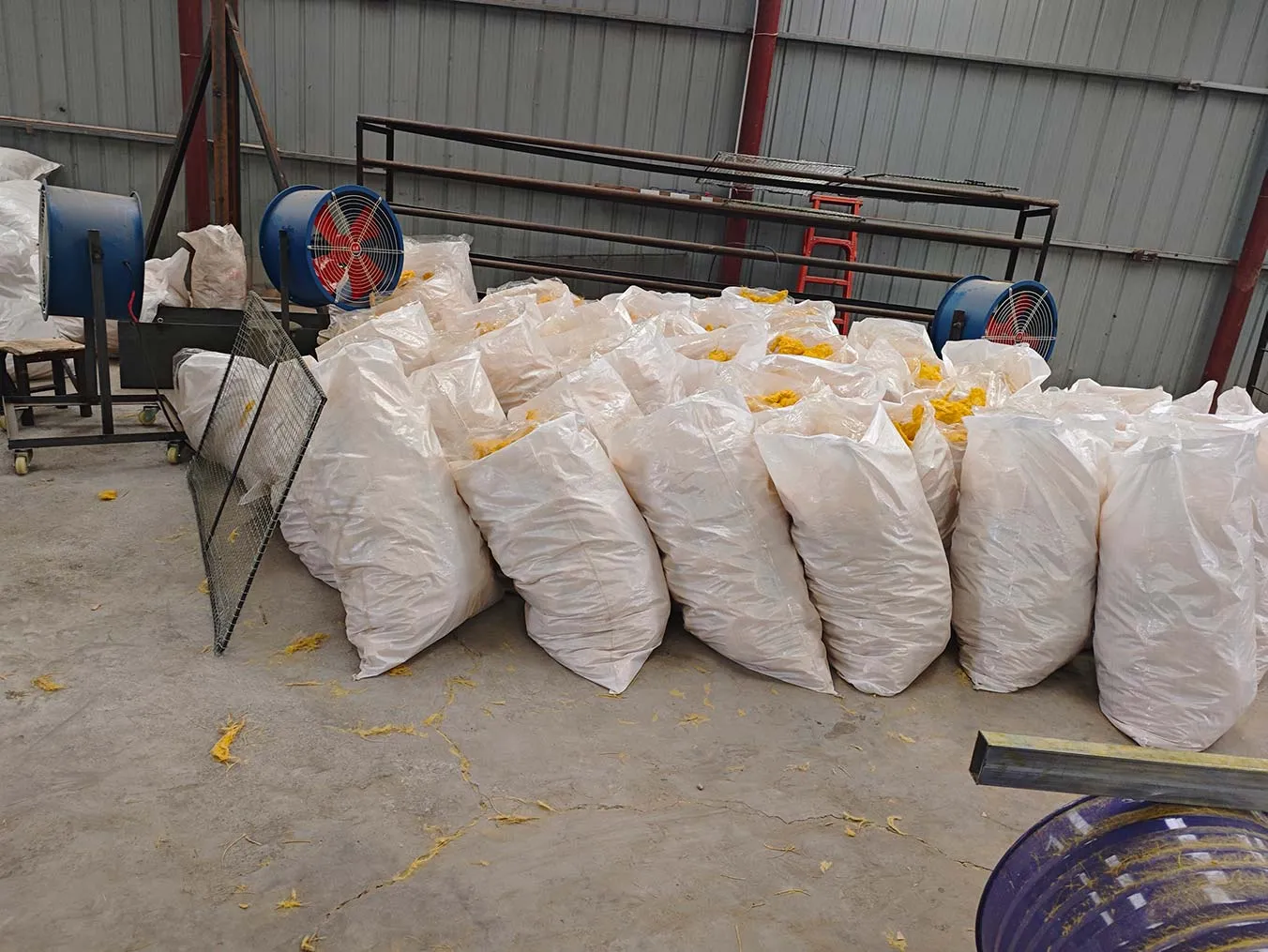 IMG_20250305_171231-转换自-jpg