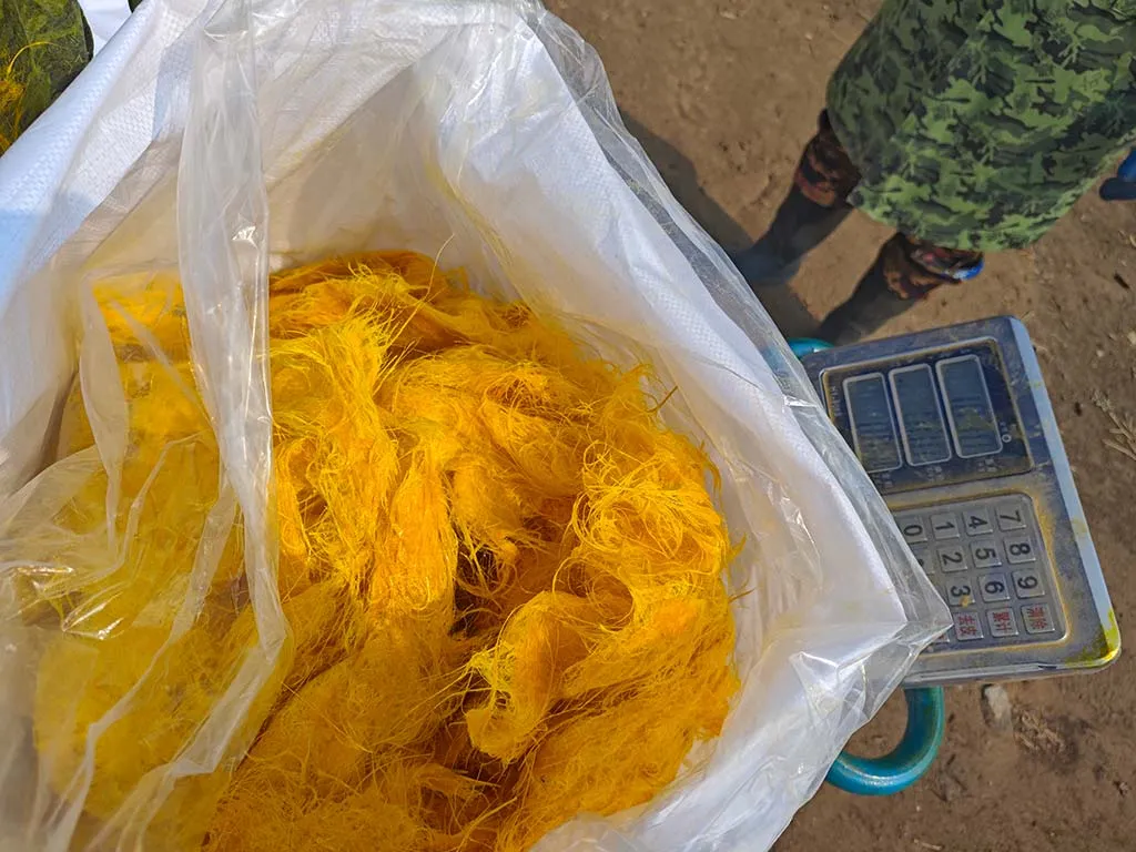 IMG_20250306_134907-转换自-jpg