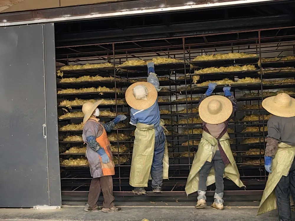 f955c451126cd0d18a4e05bd3a4a9d81-转换自-jpg (1)